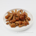 Frozen Fresh Cut Nameko الفطر - Big-100KG